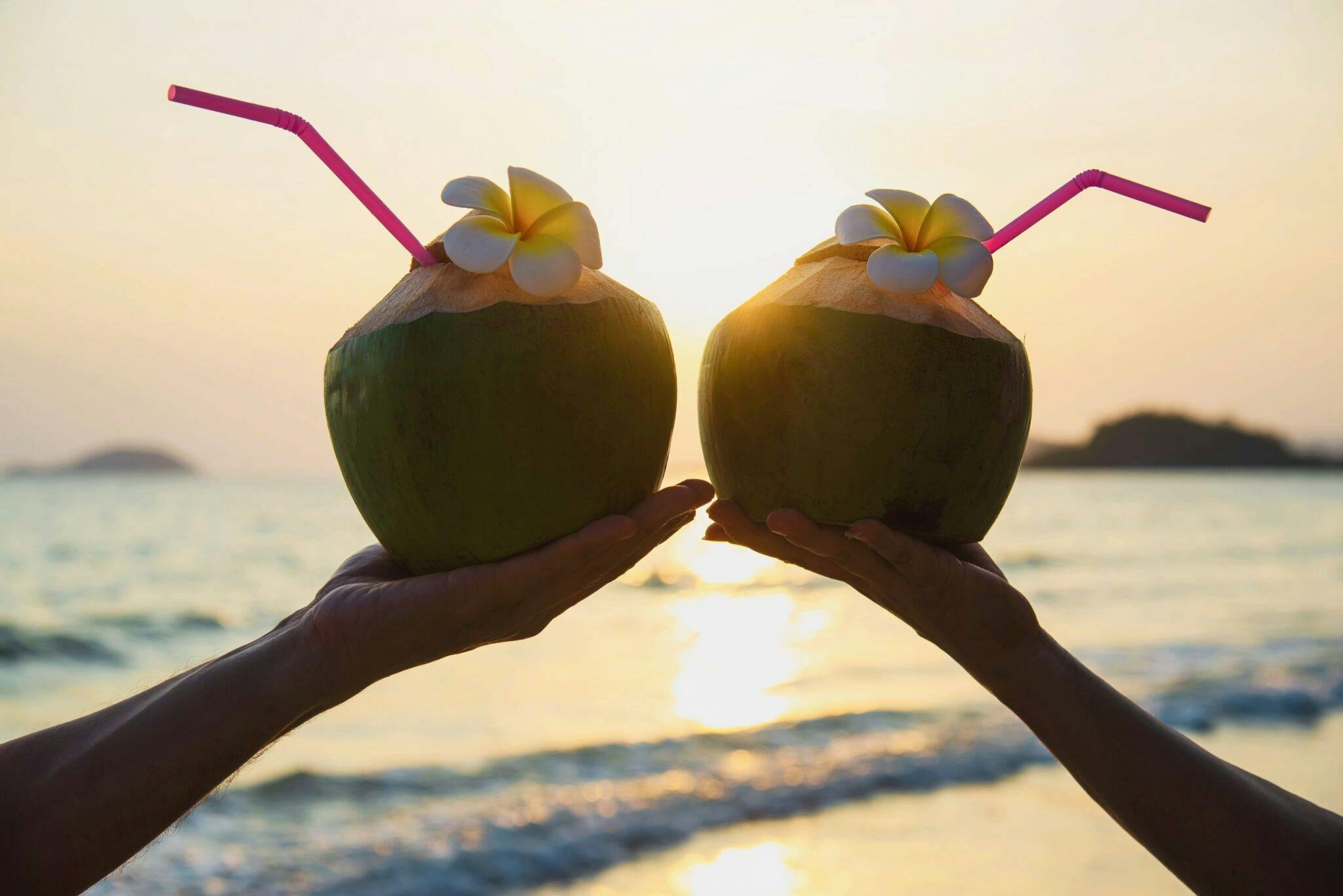 Featured image of article Sri Lankan Coconuts: The Jewel of the Tropics